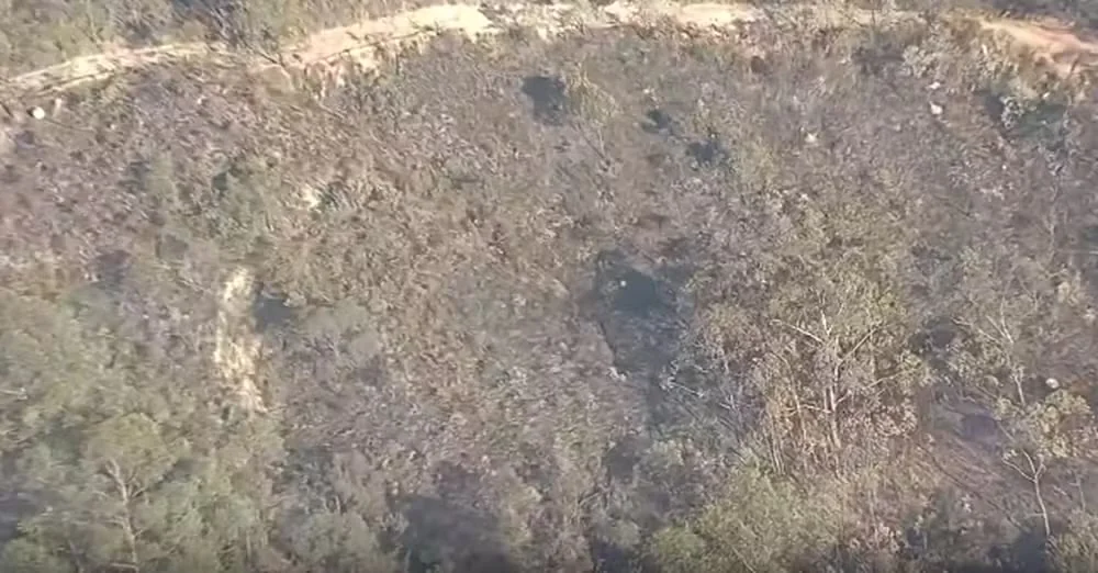 Minas Gerais registra 46 focos de incêndio em 48 horas impulsionados por tempo seco