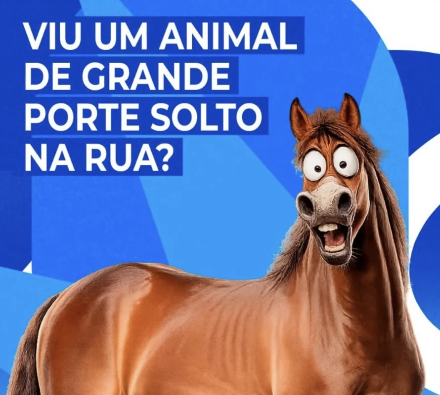 Prefeitura de Pedro Leopoldo orienta população sobre recolhimento de animais de grande porte soltos nas ruas