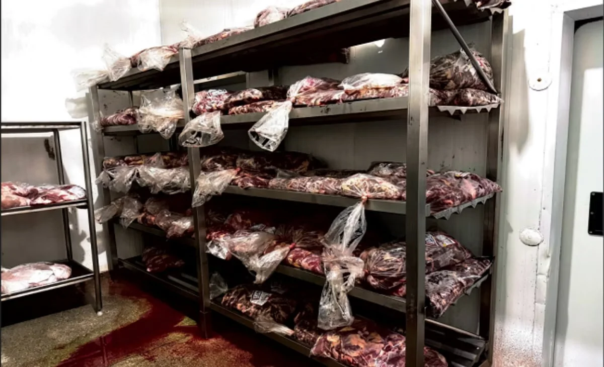 Empresa é multada em R$ 35 mil por armazenar carnes de forma irregular em Minas Gerais