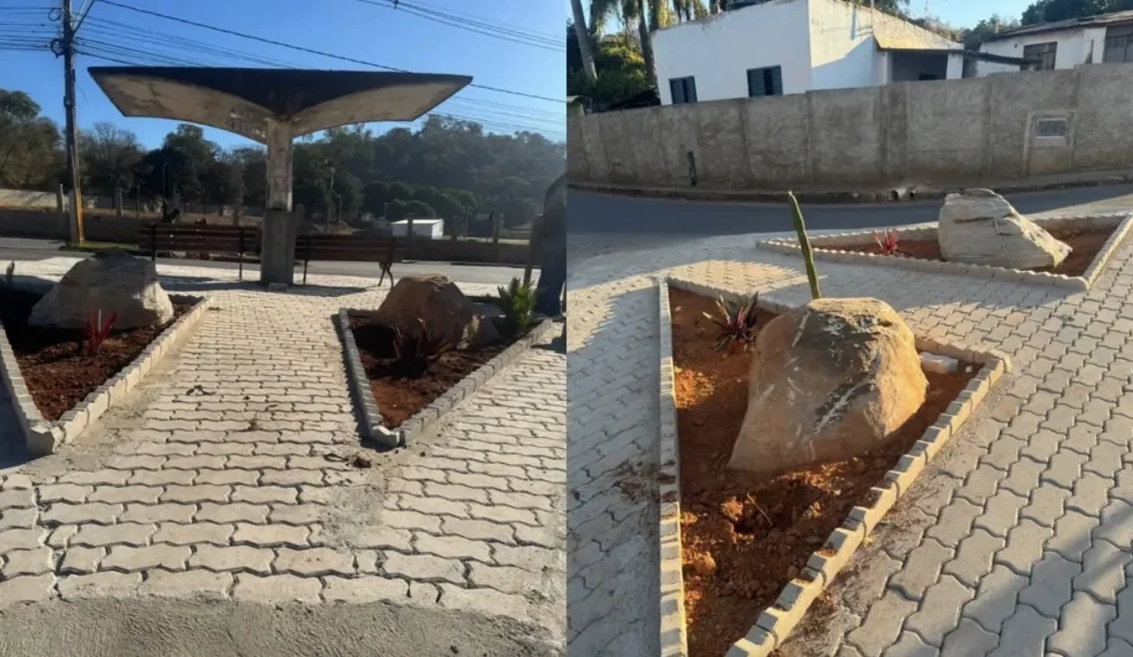 Prefeitura denuncia vandalismo após furto de coqueiros em ponto de ônibus de Capim Branco