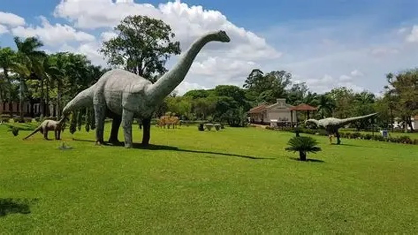 Minas Gerais reúne museus e sítios para conhecer fósseis de dinossauros e da megafauna