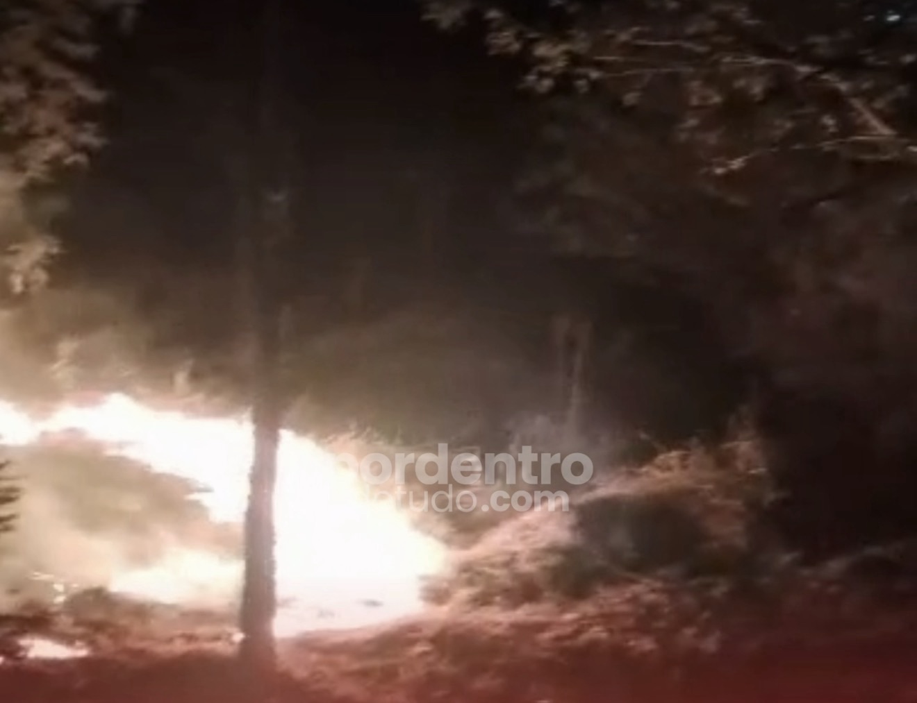 VÍDEO: Defesa Civil controla incêndio em área de vegetação em Matozinhos