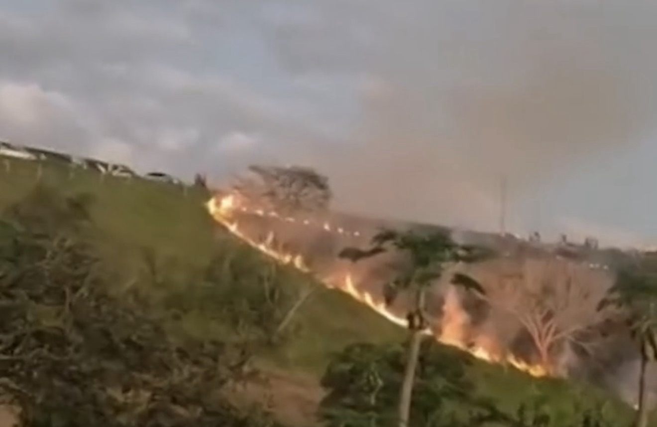 VIRALIZOU: Fogos de chá revelação provocam incêndio e destroem área equivalente a 1,5 campo de futebol