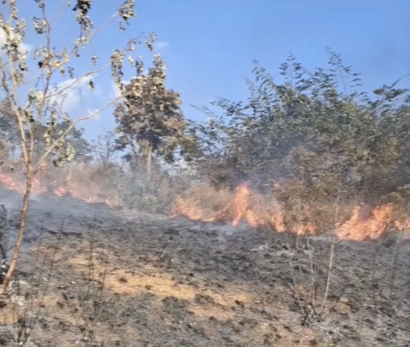 VÍDEO: Incêndio de grandes proporções atinge área próxima à UPA de Matozinhos