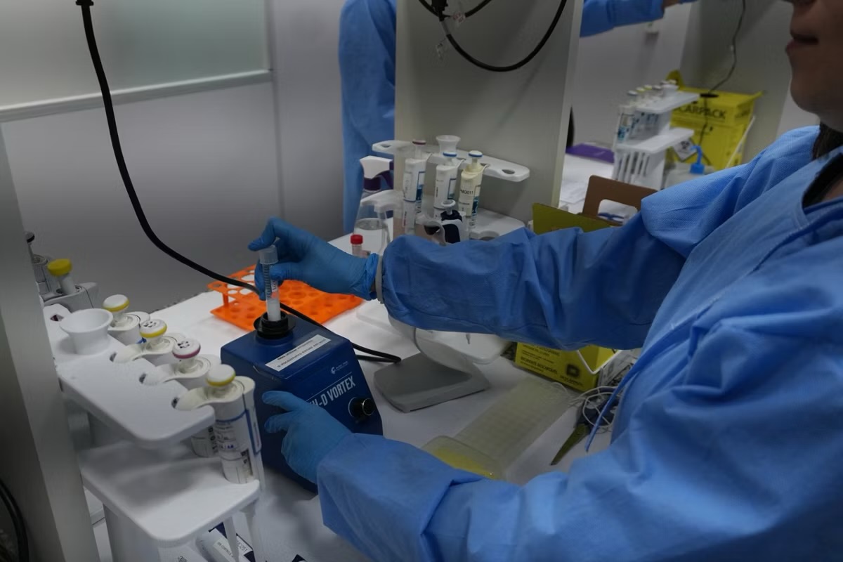 Pesquisa mineira publicada na Nature pode acelerar desenvolvimento de vacina universal contra a malária