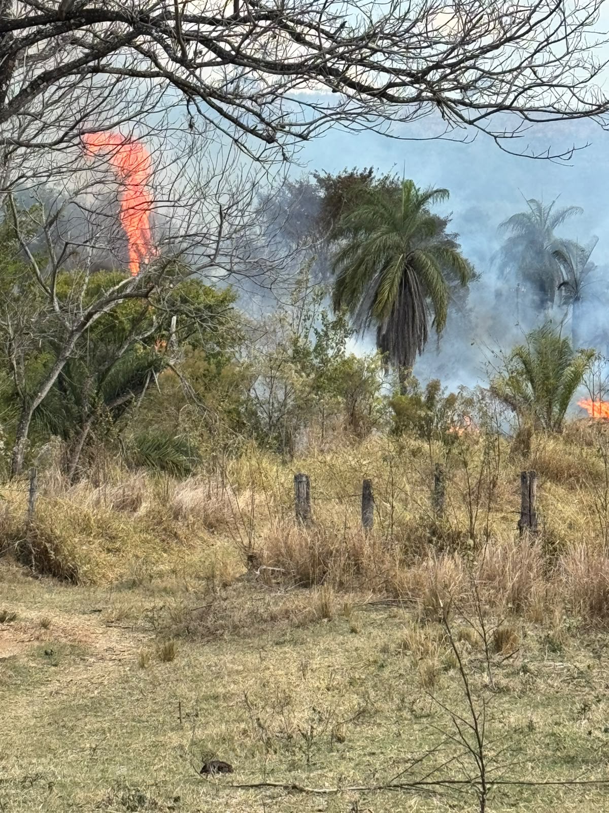 VÍDEO: Incêndio de grandes proporções já dura mais de 24 horas em Pedro Leopoldo