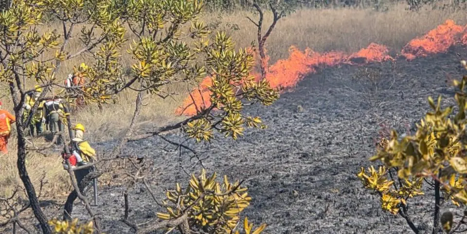 Minas registra 1.429 incêndios em vegetação em apenas 11 dias de agosto