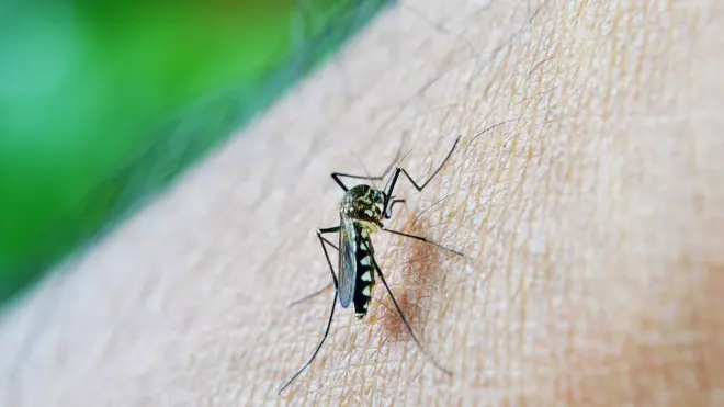 Estiagem não reduz alerta contra a dengue