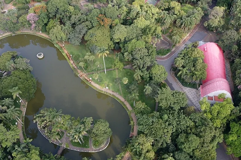 Trilha Inclusiva promove experiência sensorial no Parque Municipal de BH