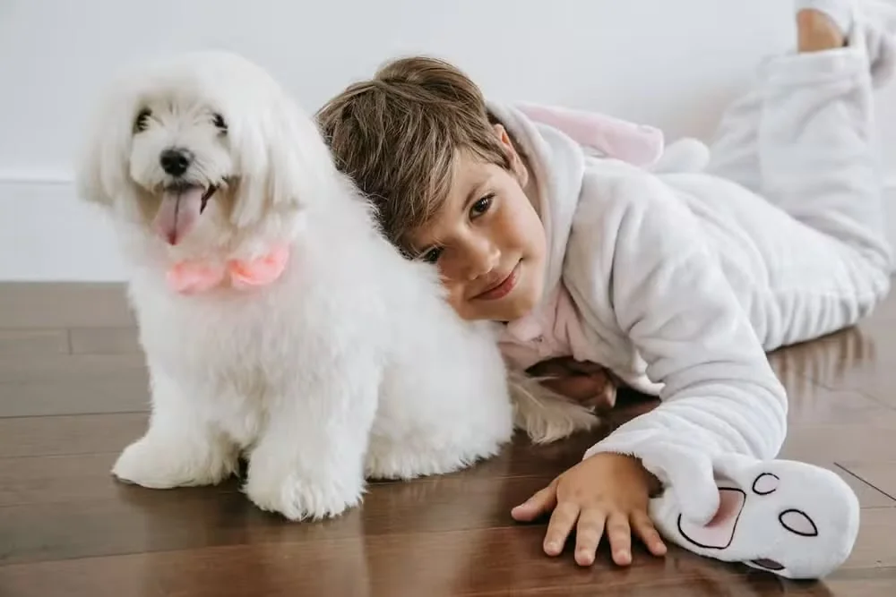 Ter um cachorro não basta: estudo mostra o que pode fazer diferença para adolescentes
