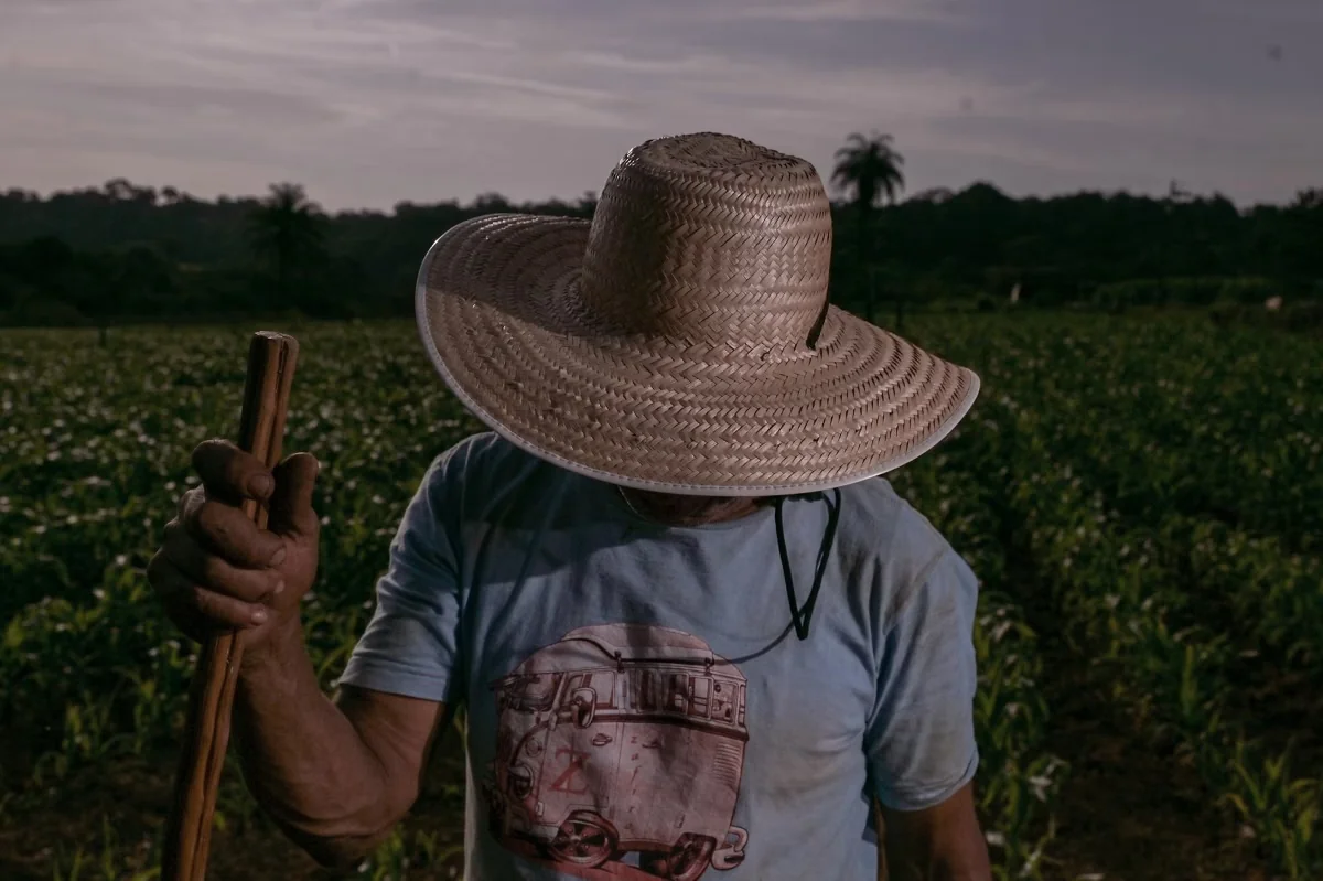Saúde mental no campo preocupa e expõe desafios em Minas Gerais
