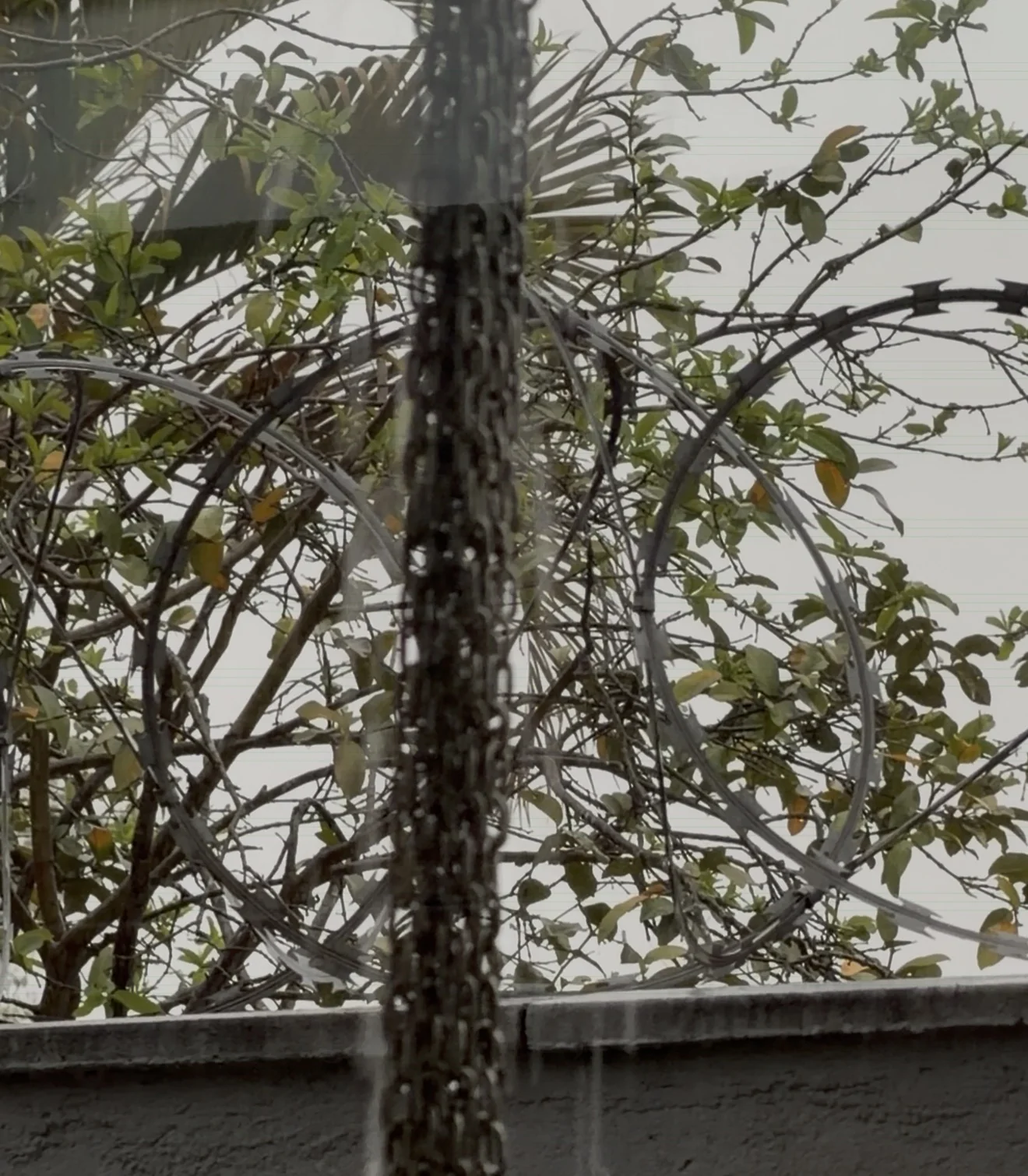 RMBH terá quinta-feira com chuva e risco de tempestades