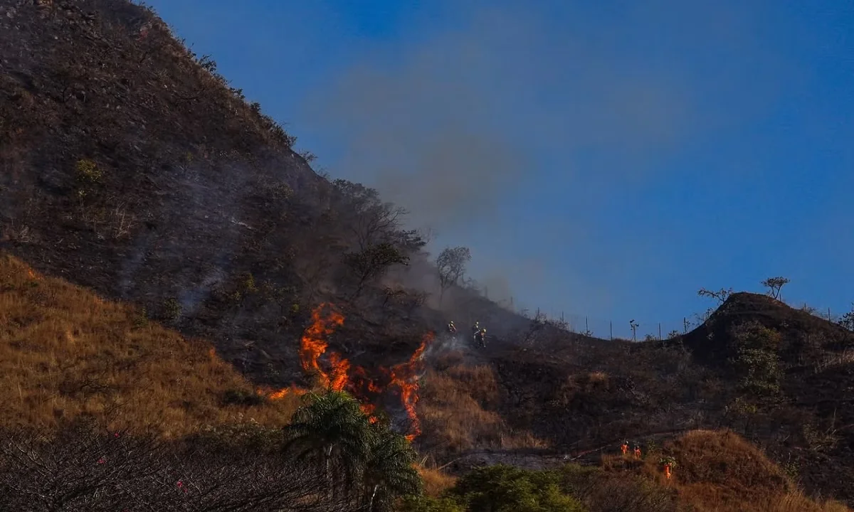 Grande BH registra 52 incêndios em vegetação em apenas 24 horas