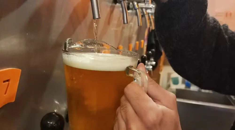 Dia da Cerveja: descubra como a bebida é produzida do lúpulo ao copo
