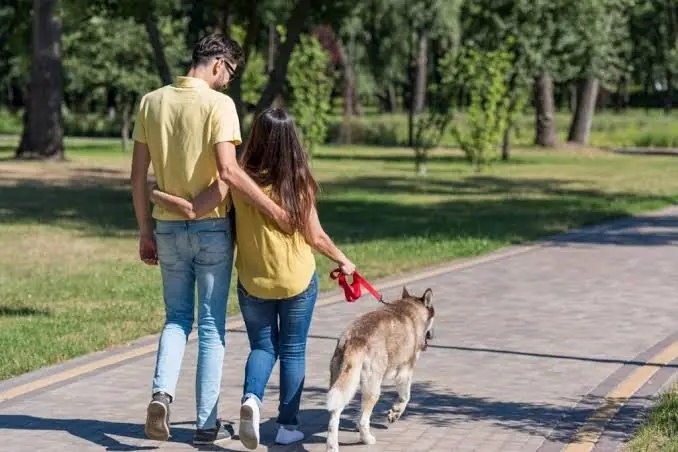 Animais de suporte emocional podem ser proibidos em condomínios?