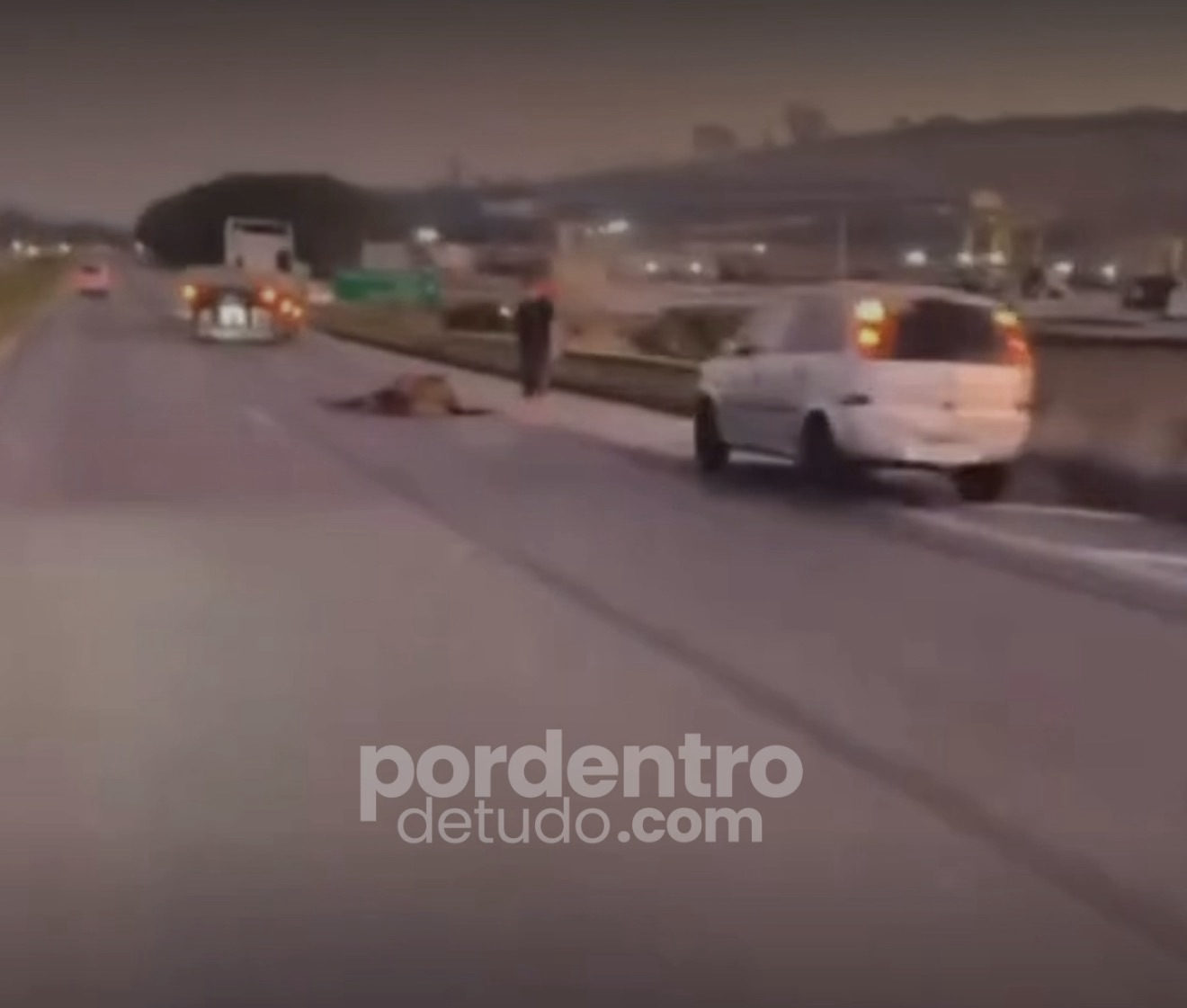 VÍDEO: Acidente envolvendo carro e cavalos deixa trânsito em alerta na MG-424