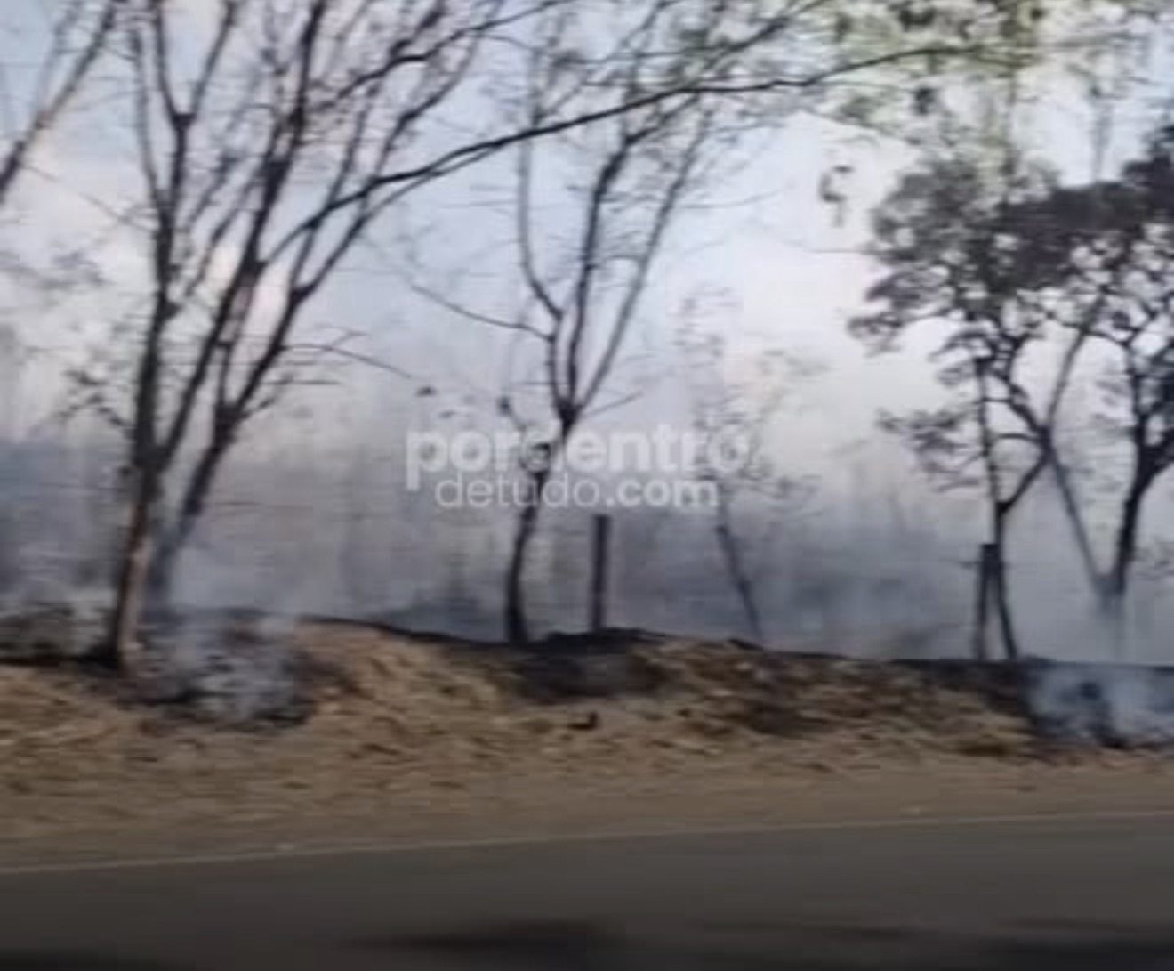VÍDEO: Incêndio de grandes proporções mobiliza Defesa Civil, Bombeiros e Guarda Municipal na MG-424
