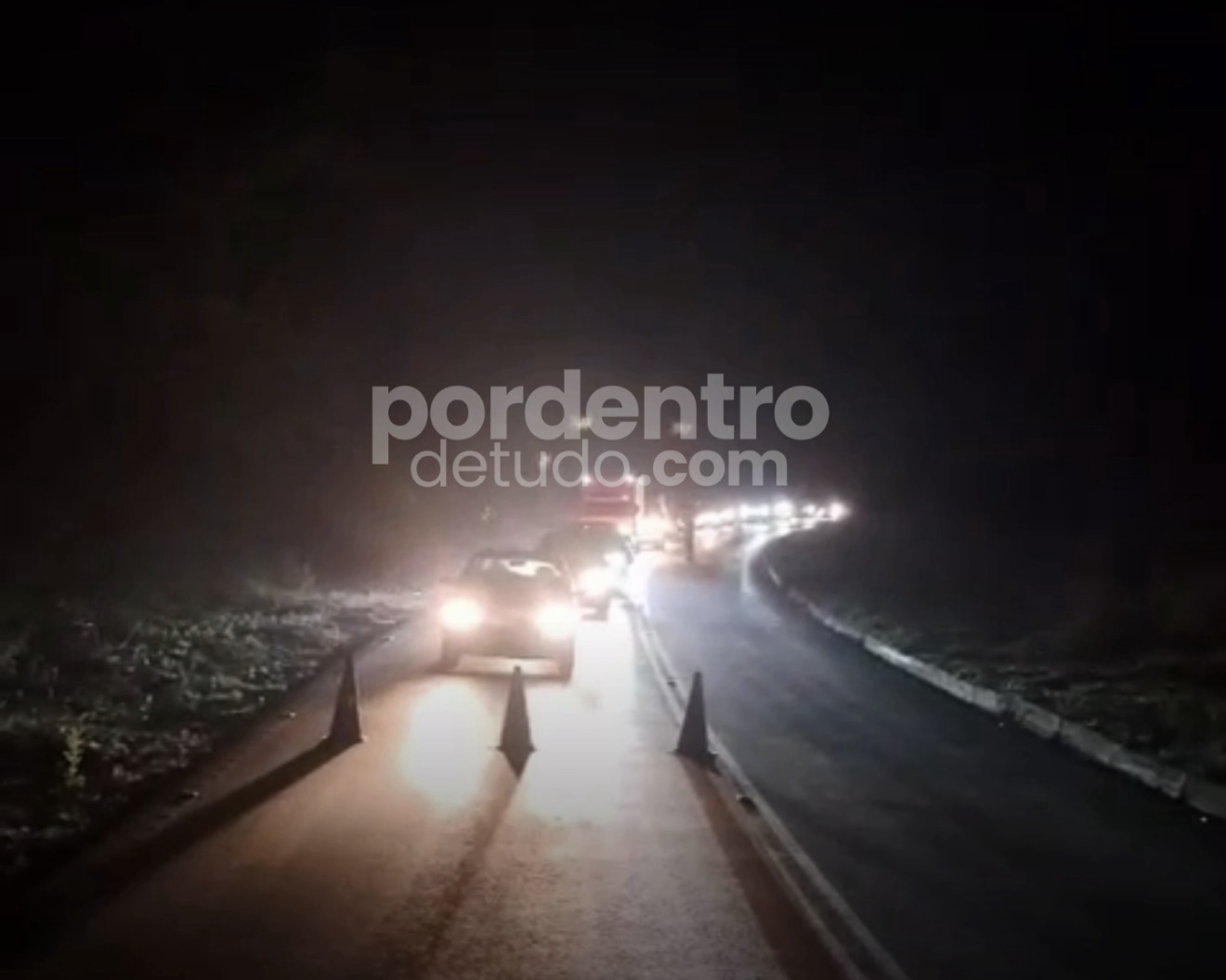 VÍDEO: MG-424 será interditada após incêndio para retirada de árvores
