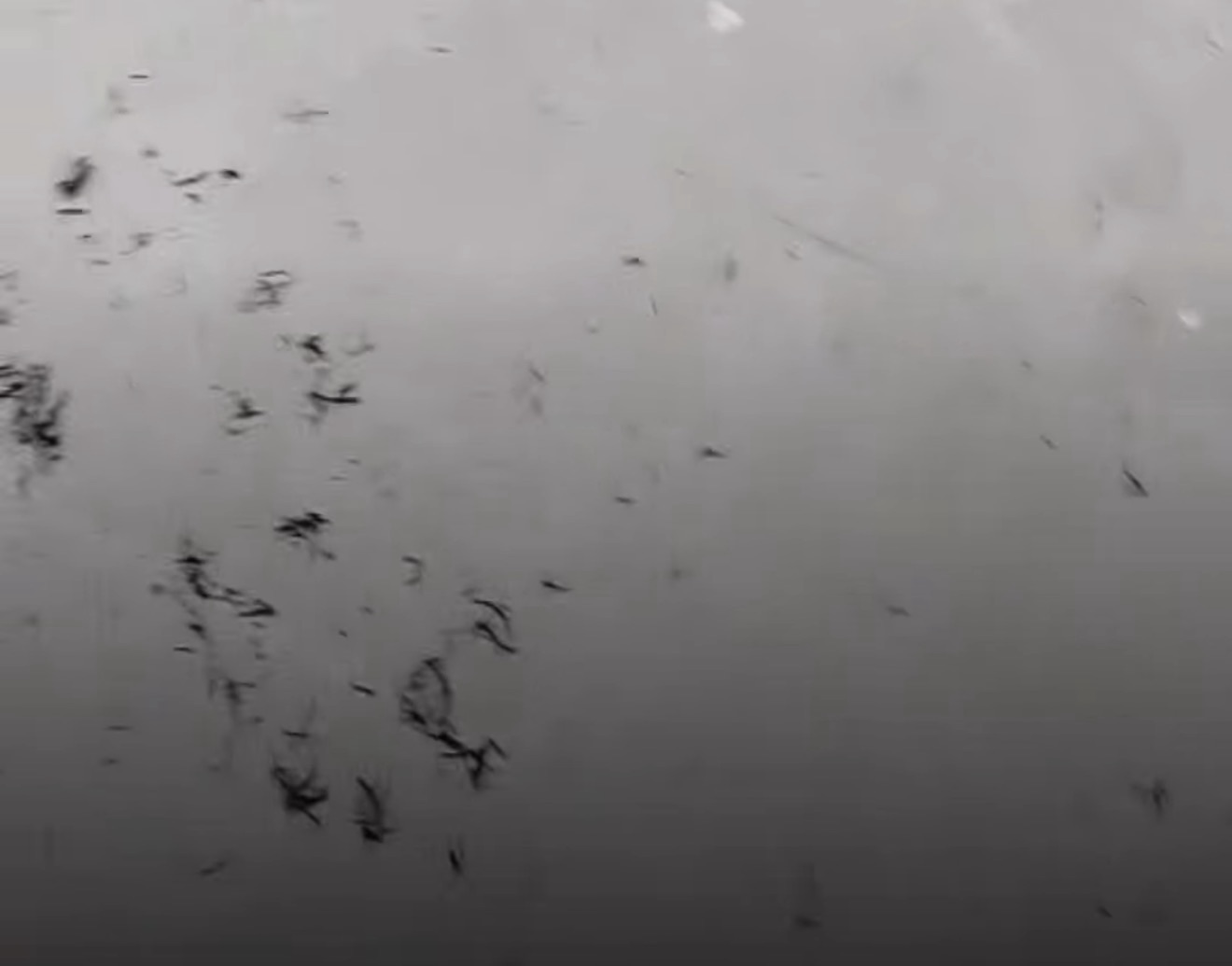VÍDEO: Morador registra fuligem e quintal sujo após incêndio em Matozinhos
