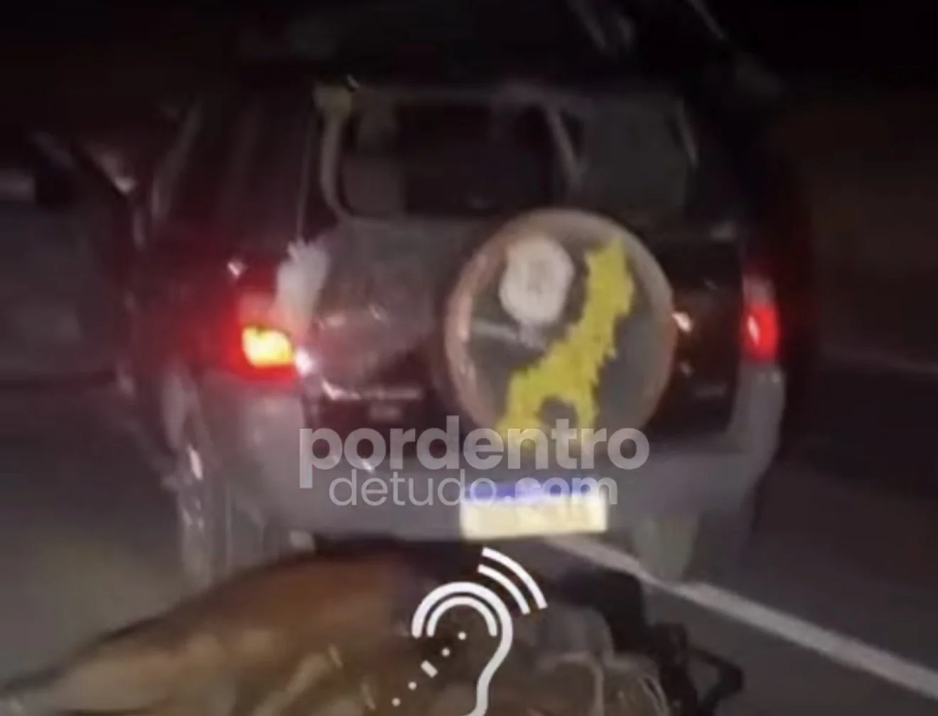 VÍDEO: Grave acidente na MG-424 reacende alerta sobre escuridão e animais na pista
