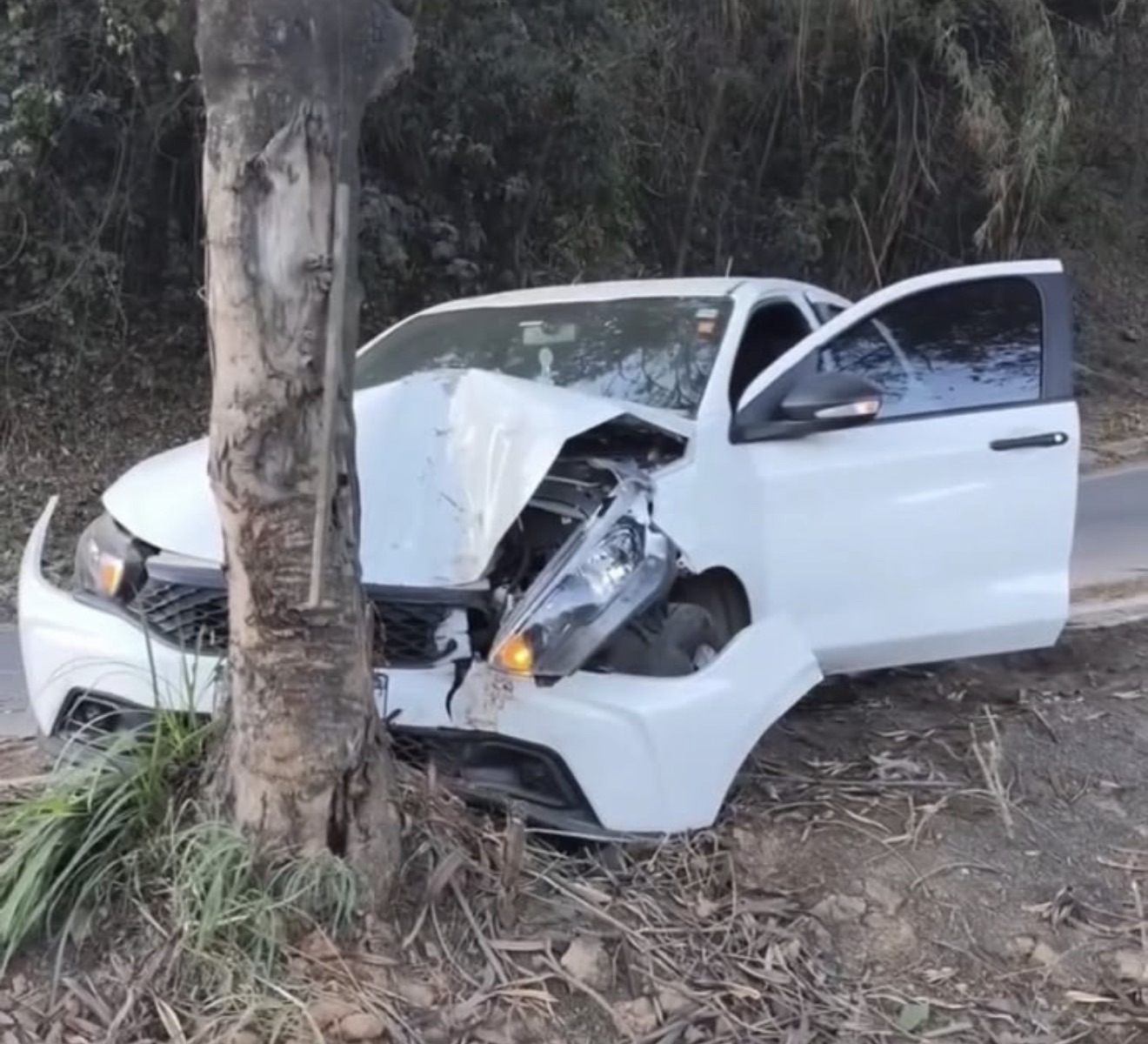 Motorista perde o controle e bate contra árvore às margens da MG-424, em Pedro Leopoldo
