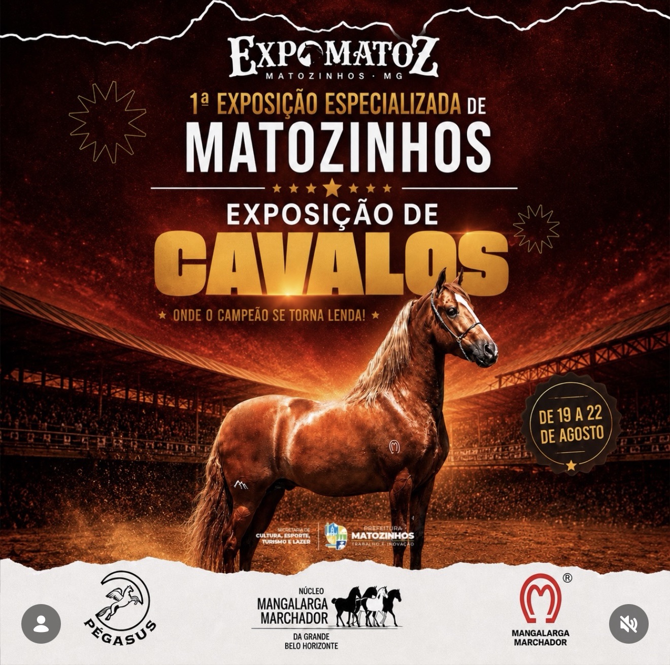 ExpoMatoz abre inscrições para 1ª Exposição Especializada de Cavalos