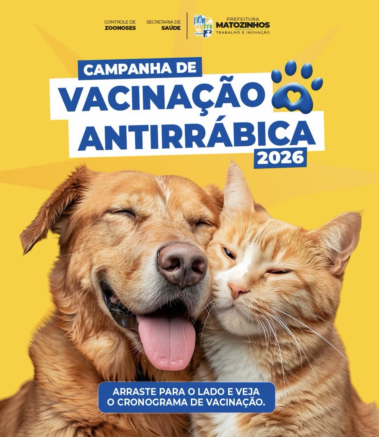 Vacinação antirrábica para cães e gatos começa neste sábado em Matozinhos