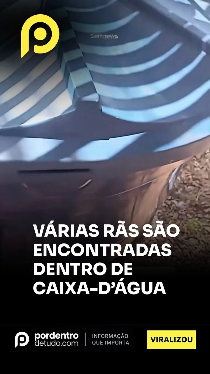 VIRALIZOU: Homem encontra várias rãs dentro da caixa-d’água e se surpreende
