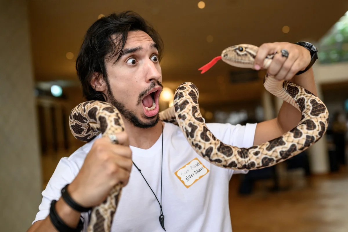 Brasileiros que pisaram em jararacas para serem picados levam Ig Nobel