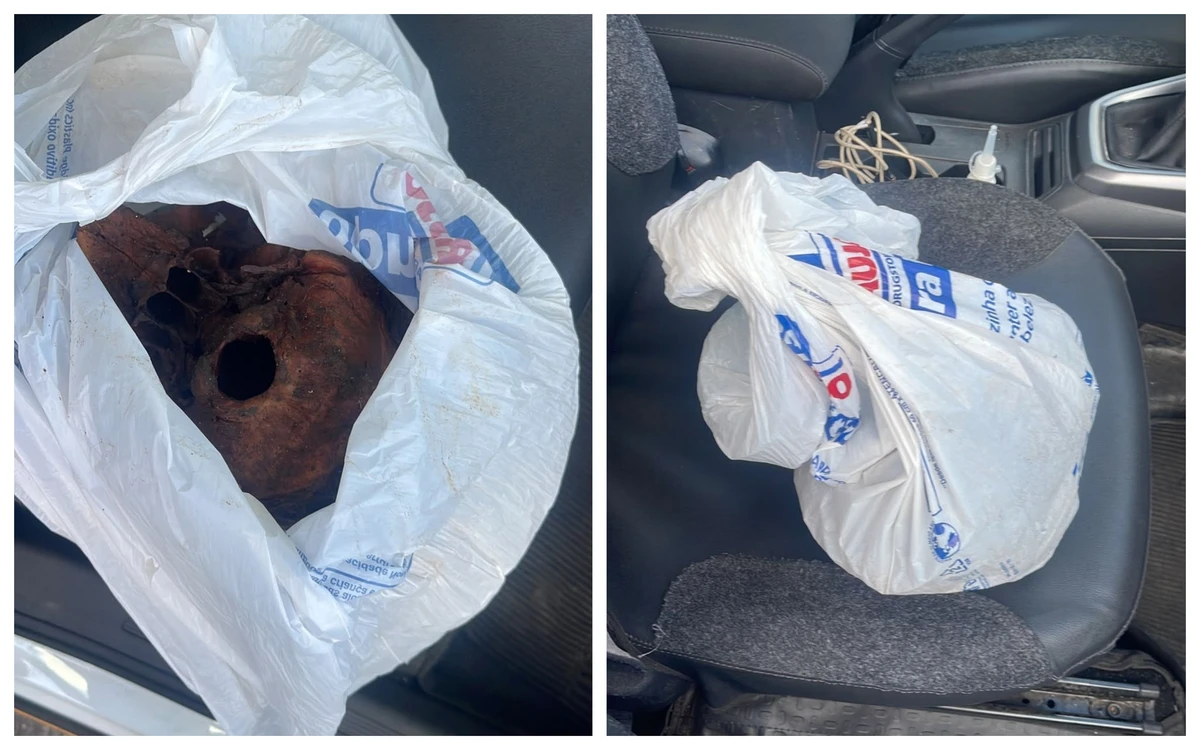 Crânio humano é encontrado em sacola e quatro são presos na Grande BH