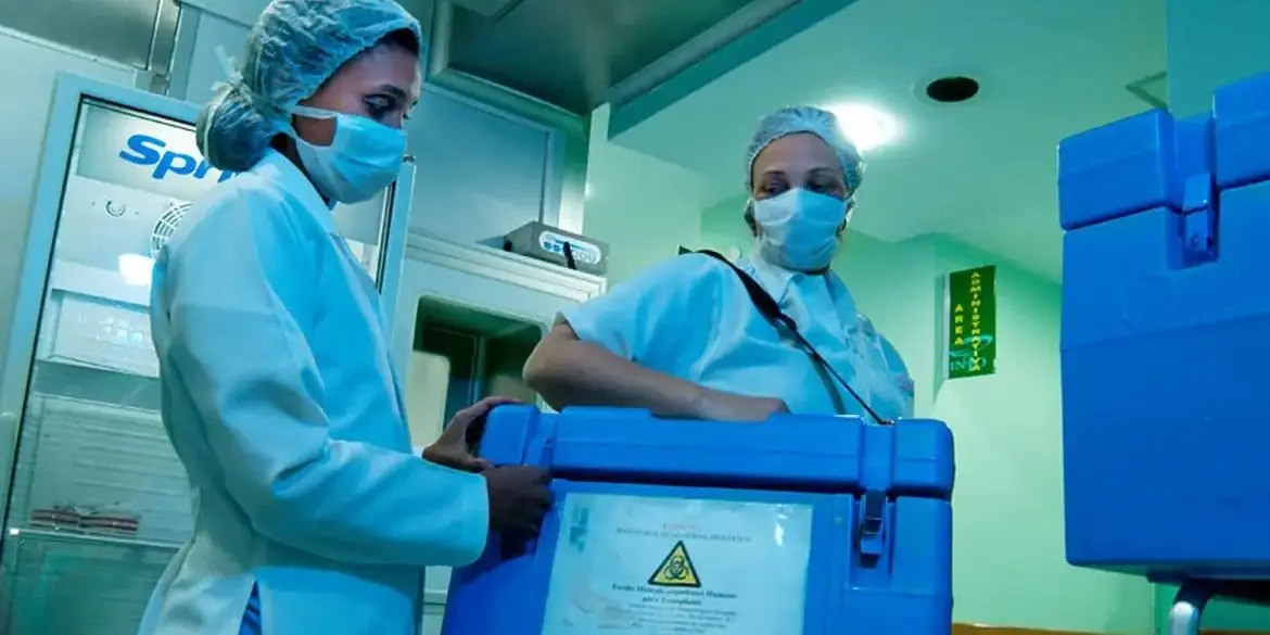 Idosos também podem ser doadores vivos de órgãos, mas avaliação médica é essencial