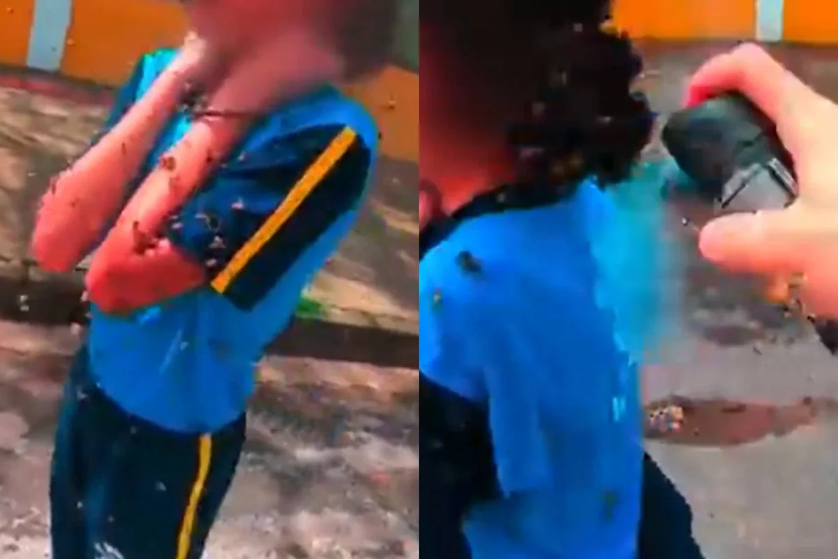 Aluna é atacada por abelhas em escola na Grande BH