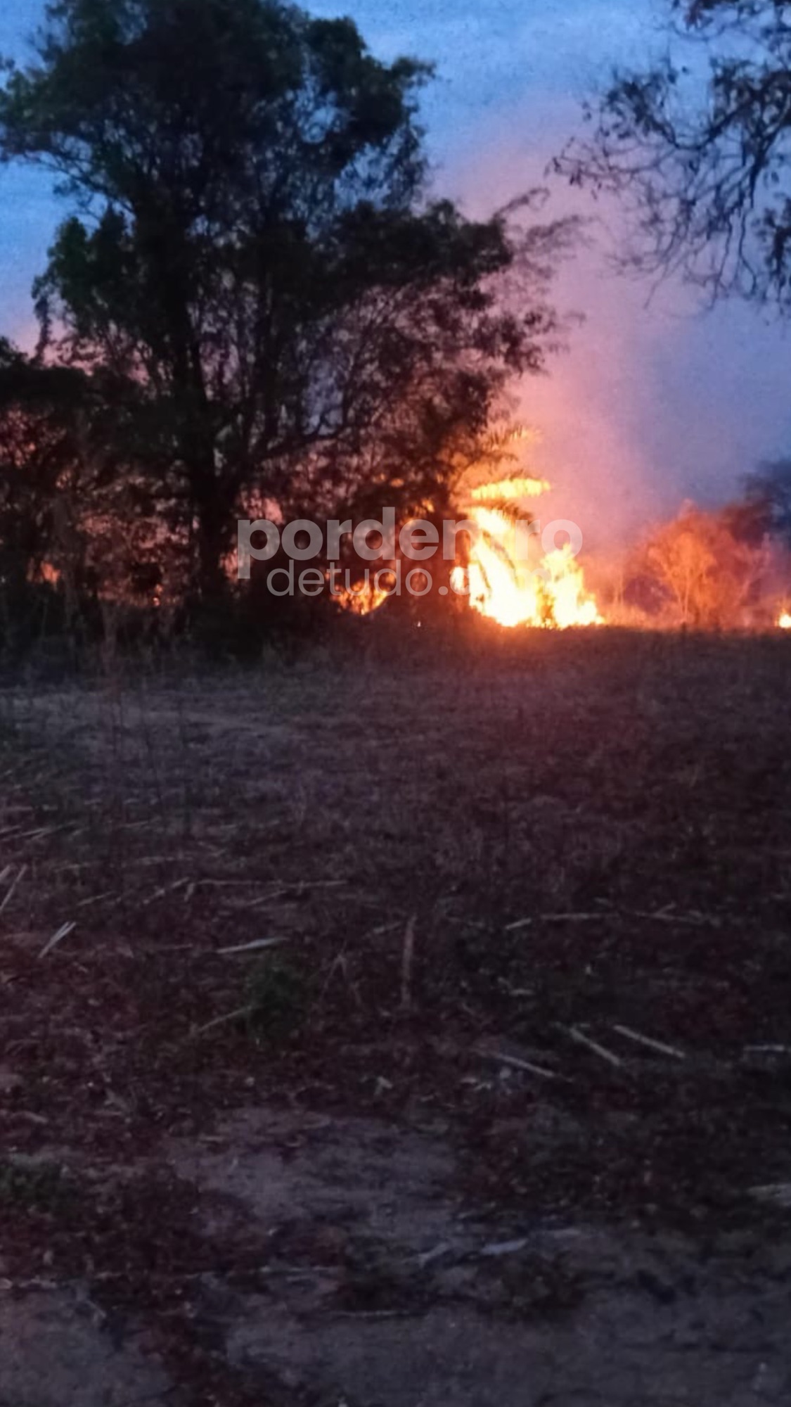 Incêndio em área de vegetação mobiliza Defesa Civil próximo à Cachoeira do Urubu, em Pedro Leopoldo