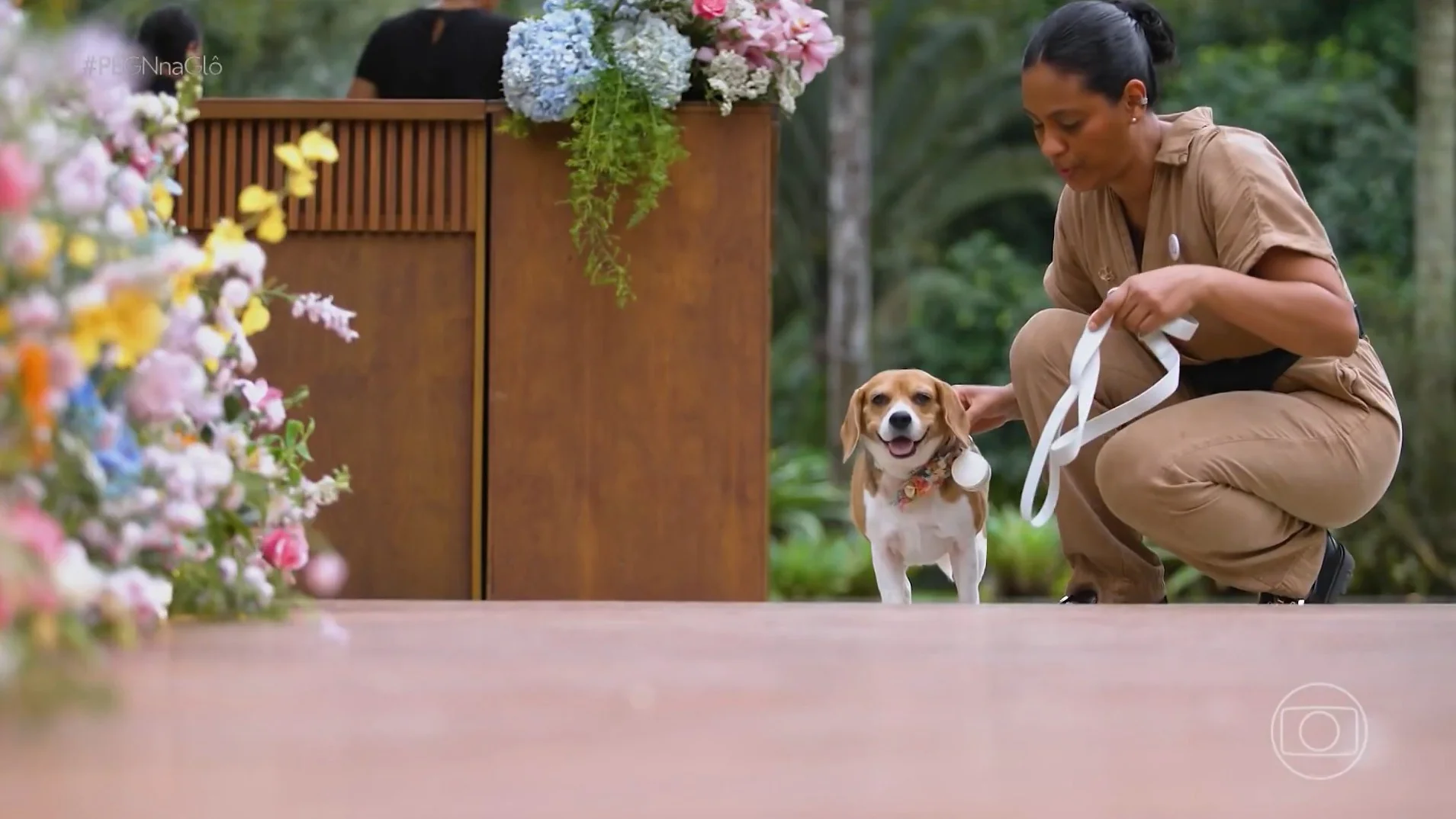 Empreendedora cria serviço para transformar pets em estrelas de casamento