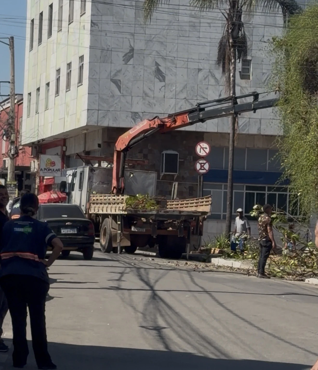 VÍDEO: Defesa Civil realiza poda de arvore no centro de Matozinhos