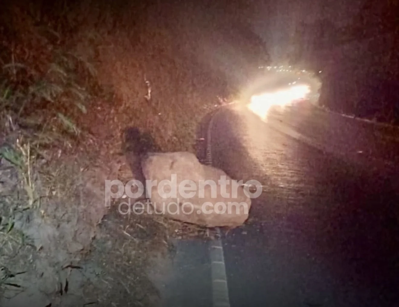 FOTO: Pedra cai na MG-424 e exige atenção redobrada dos motoristas