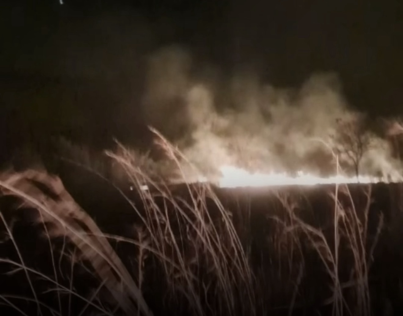 VÍDEO: Fogo atinge área de vegetação e mobiliza Defesa Civil em Matozinhos