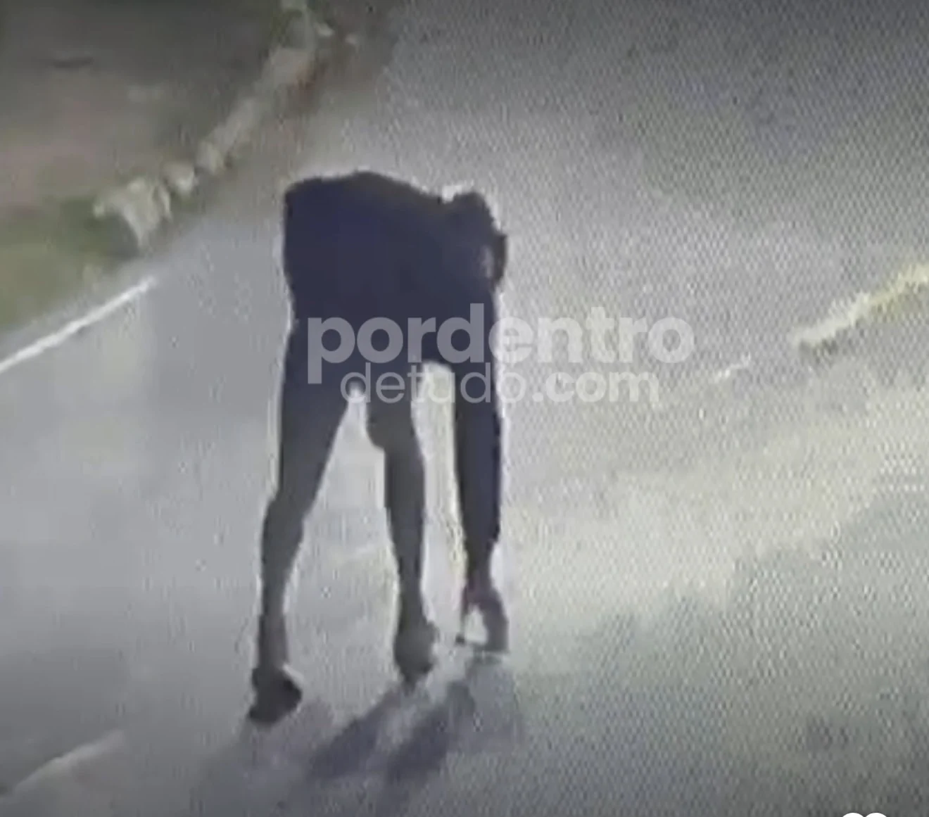 VÍDEO: Moradora procura celular perdido no Centro de Pedro Leopoldo e pede ajuda para localizar quem recolheu o aparelho
