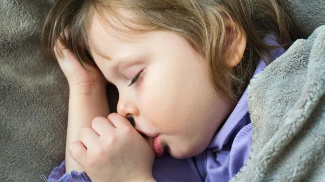 Hábitos da infância podem influenciar a saúde e o comportamento na vida adulta