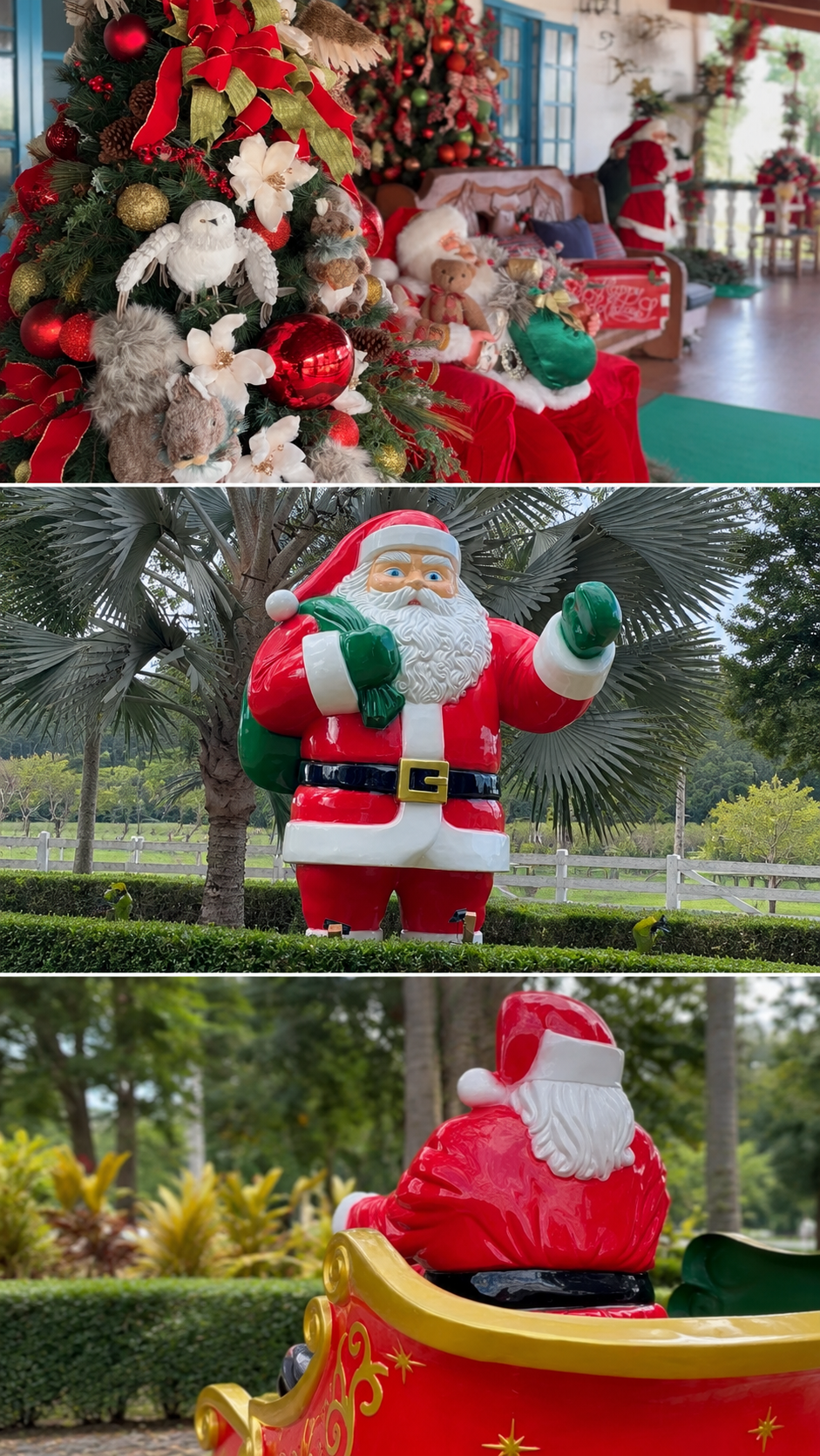 VÍDEO: Fazenda do Papai Noel anuncia quatro dias de experiência natalina em Matozinhos