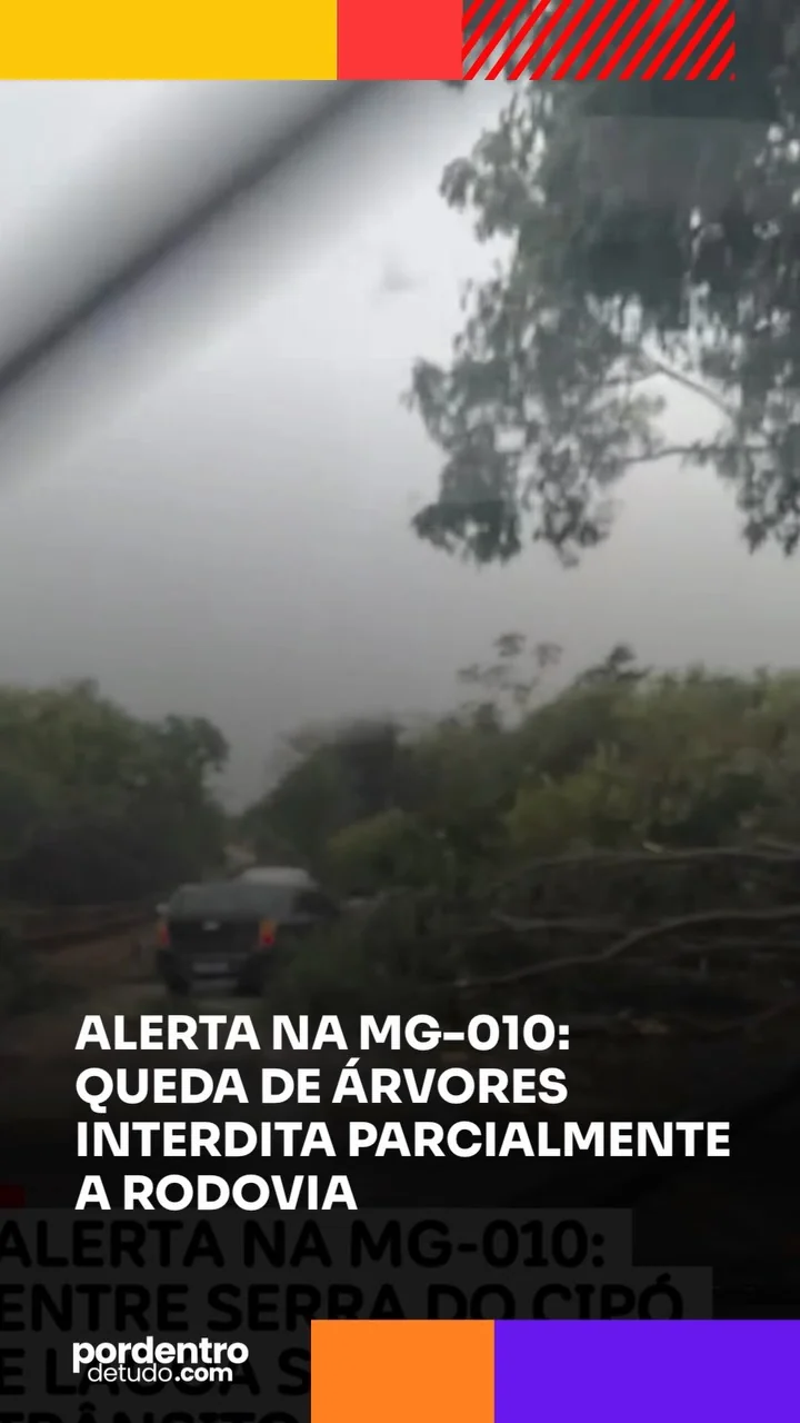 VÍDEO: Queda de árvores deixa trânsito em meia pista na MG-010, próximo ao Aeropouso