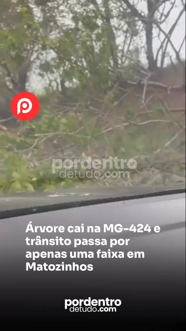 VÍDEO: Árvore cai na MG-424 e trânsito passa por apenas uma faixa em Matozinhos