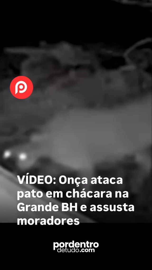 VÍDEO: Onça ataca pato em chácara na Grande BH e assusta moradores