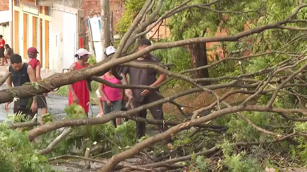 Chuva de granizo destelha casas e derruba árvores na Grande BH