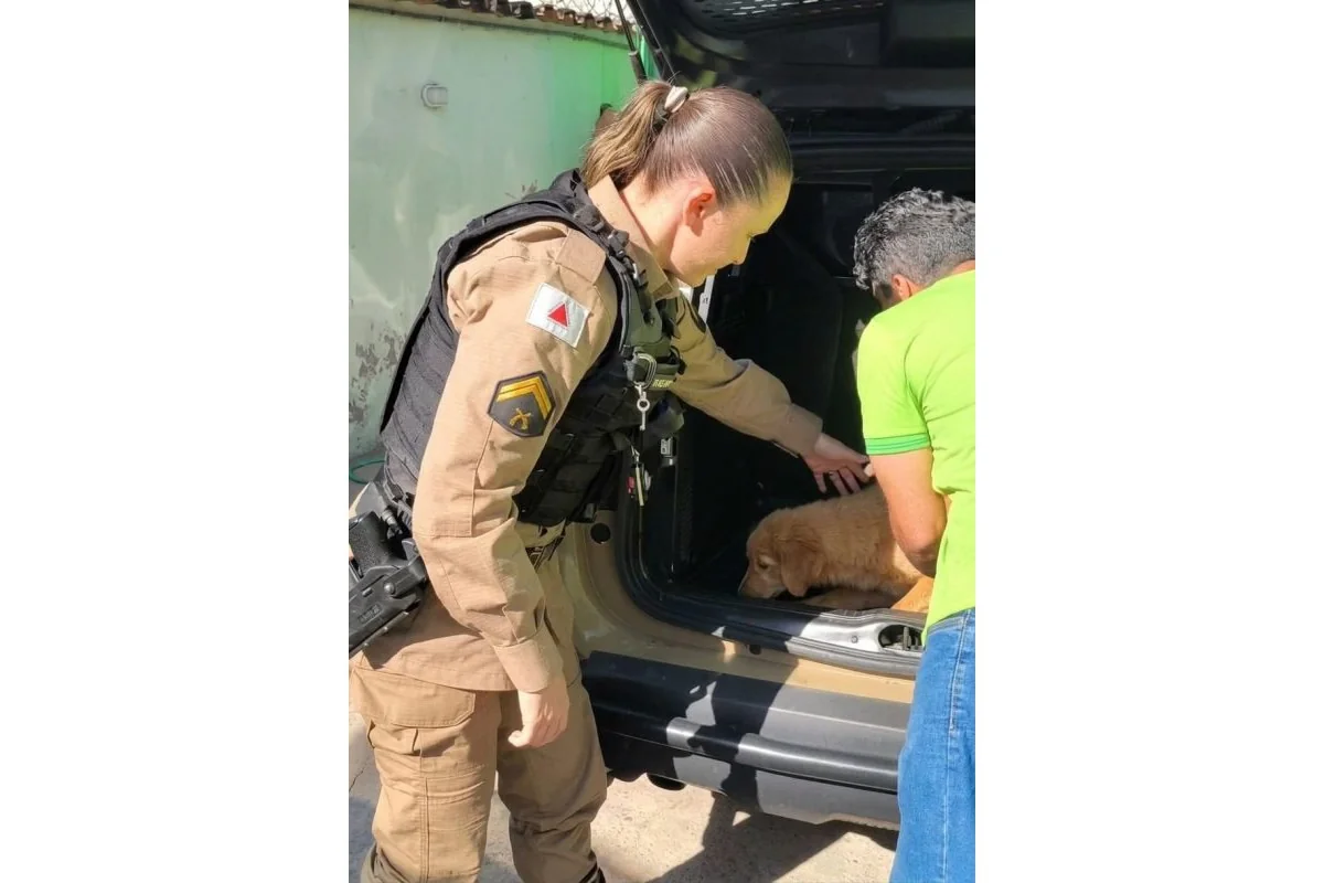 Idoso é preso suspeito de abuso e maus-tratos contra cadela em MG
