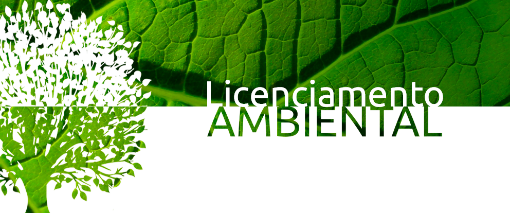 REQUERIMENTO DE LICENÇA AMBIENTAL