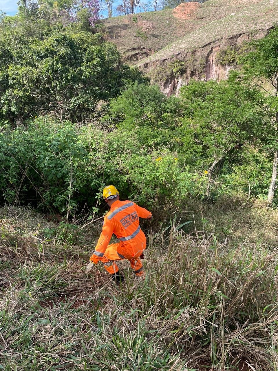 Duas crianças entram em área de mata e mobilizam operação de busca em MG