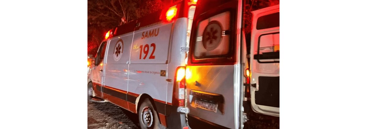 Idoso de 69 anos é atacado por dois pit bulls e sofre ferimentos em MG