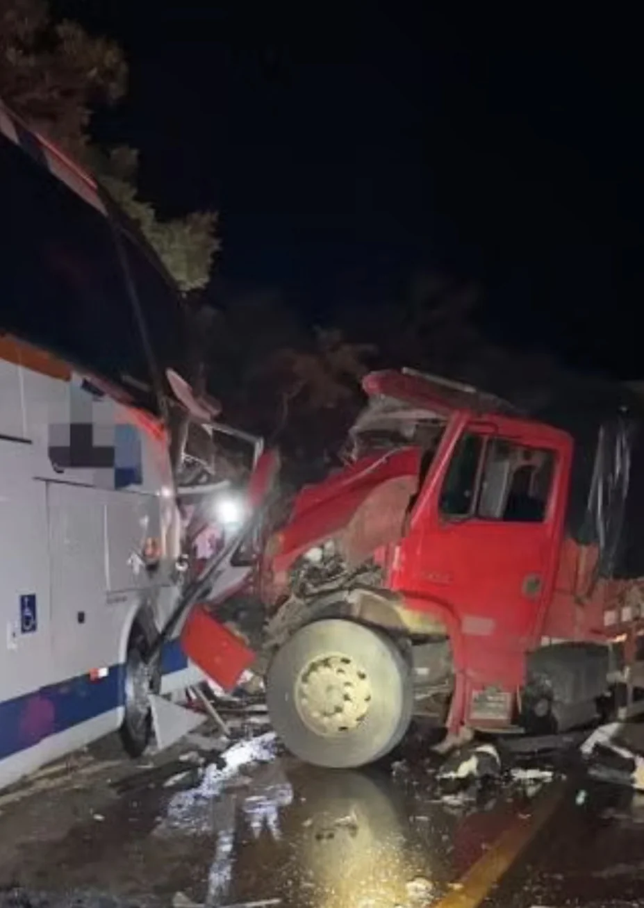 Acidente entre ônibus e caminhão deixa nove feridos na BR-365, em Minas Gerais