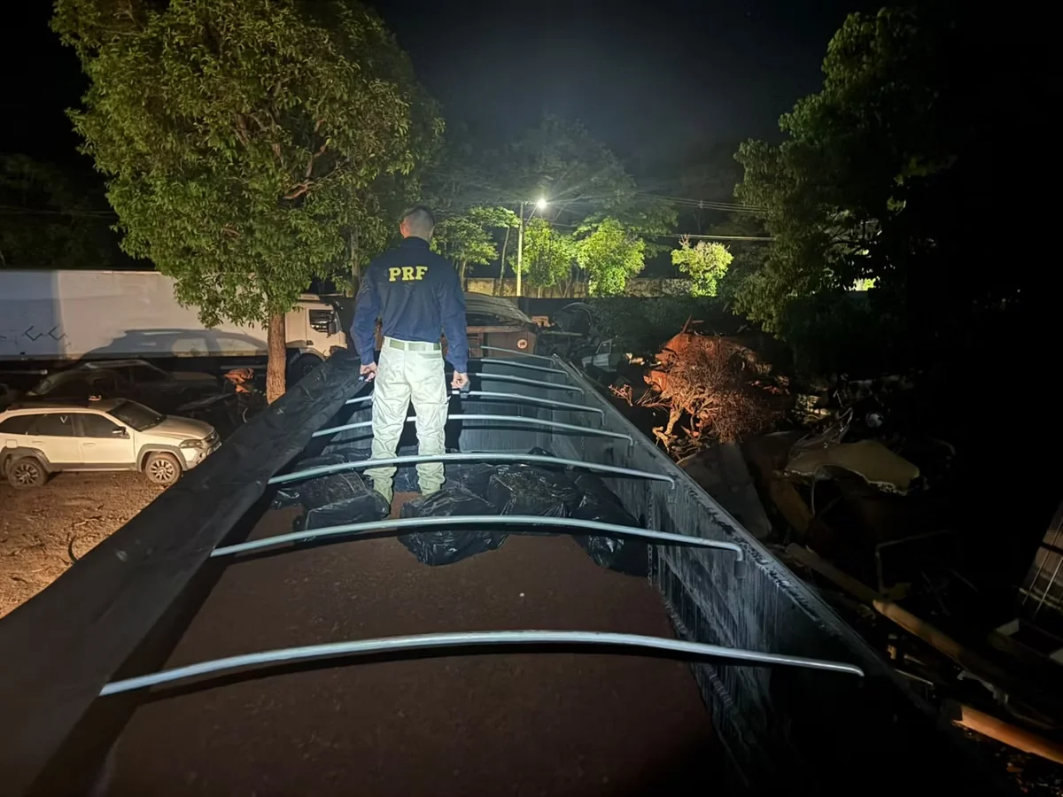 PRF apreende 1,1 tonelada de maconha escondida em carga de minério na BR-262